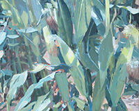 Carole Rabe Painting - Corn Stalks