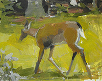 Carole Rabe Painting - Deer Walking